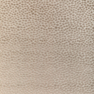 KRAVET DESIGN