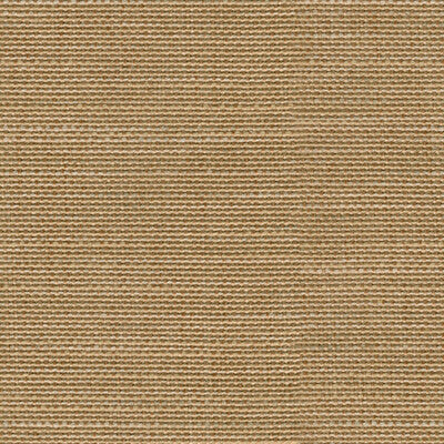 SINO CLOTH