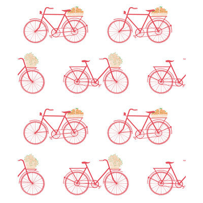 BICICLETAS