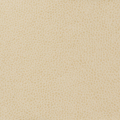 KRAVET BASICS