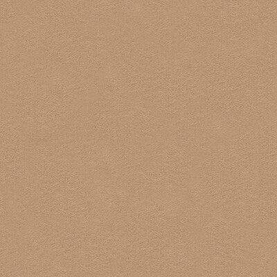 ULTRASUEDE GREEN