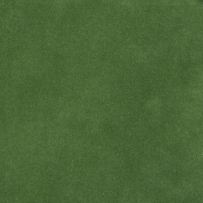 Kravet Design Texture Fabric – Green 100% Cotton Designer Upholstery Fabric (55" Width)