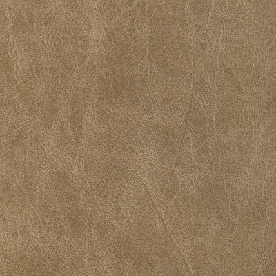 KRAVET DESIGN