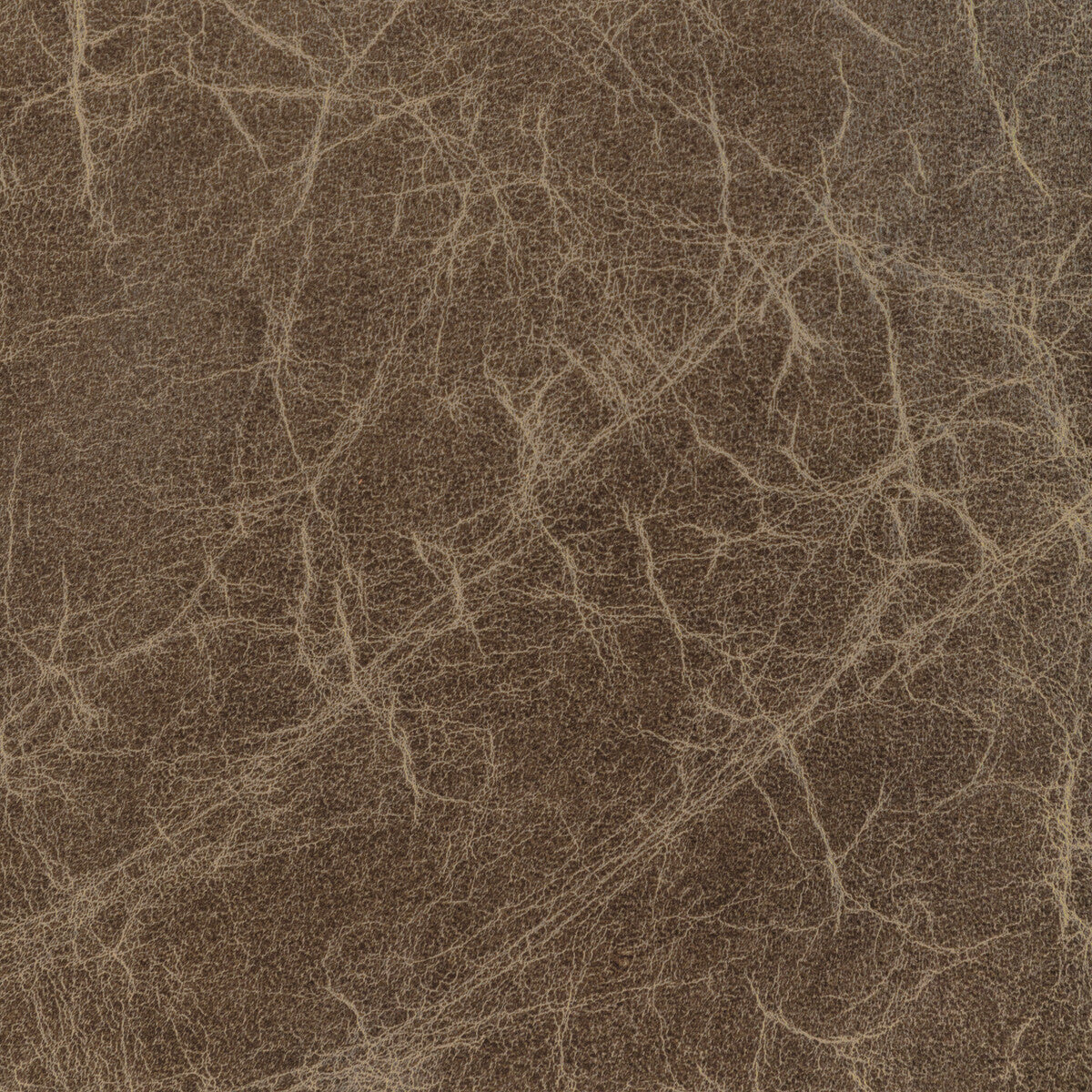 KRAVET DESIGN