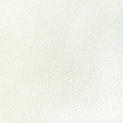 KRAVET DESIGN