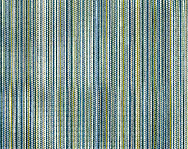 ALDER STRIPE