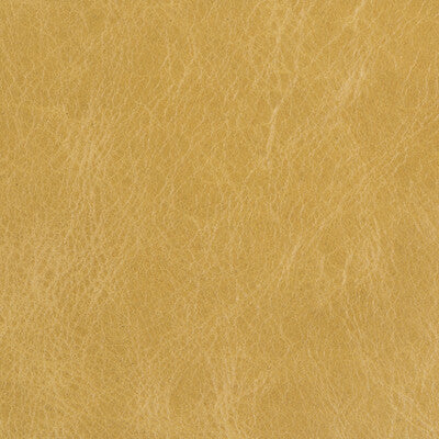 KRAVET COUTURE
