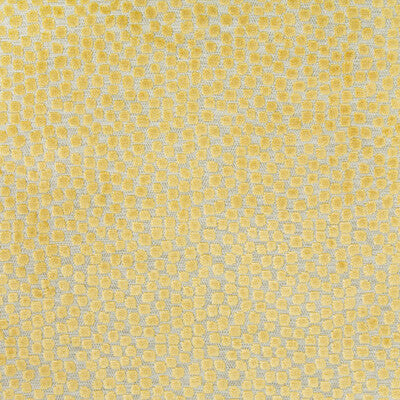 Kravet Design Flurries Pattern Fabric – Yellow & Gold Designer Upholstery Fabric (54" Width)
