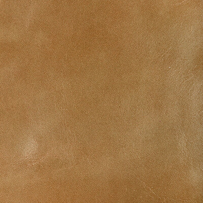 KRAVET DESIGN