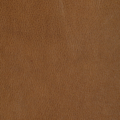 KRAVET DESIGN