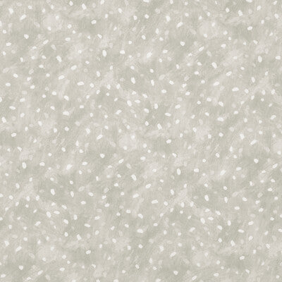 STARRY SKY