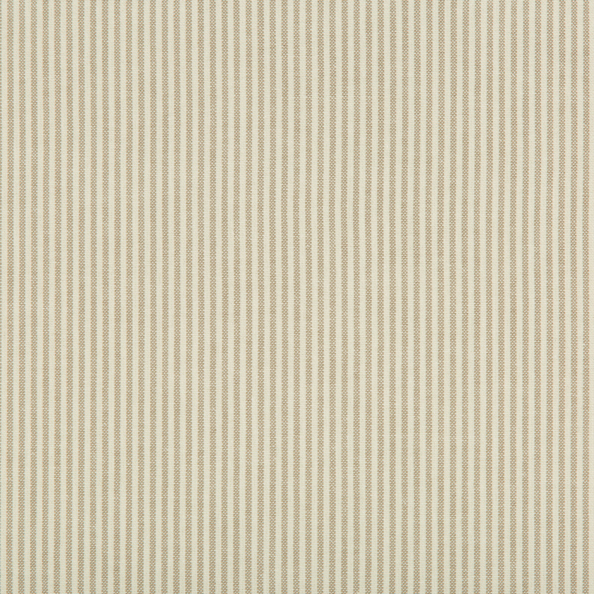 KRAVET BASICS