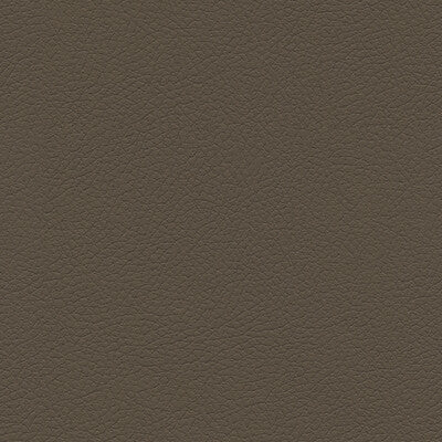 KRAVET DESIGN