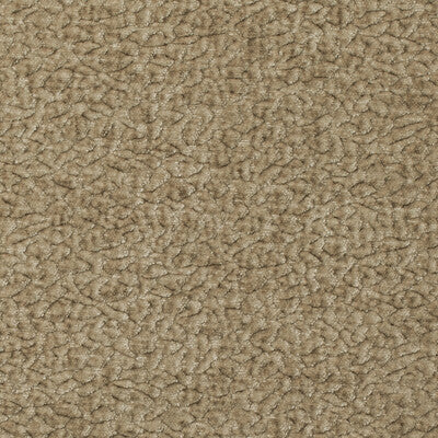 BARTON CHENILLE