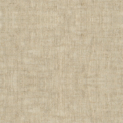 HAIKU TEXTURE