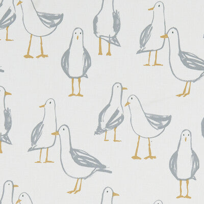 LARIDAE