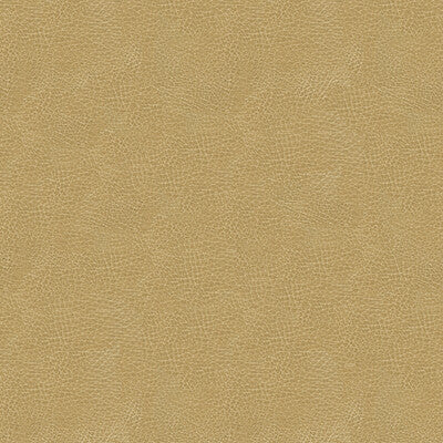KRAVET DESIGN
