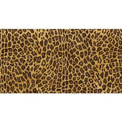 SAVVY SAFARI