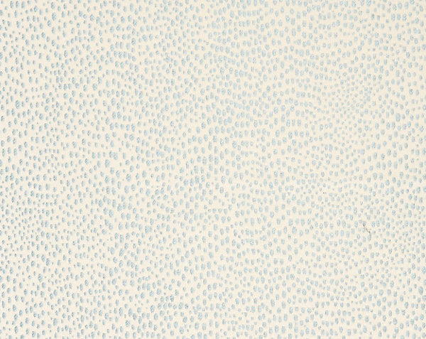 RAINDROP