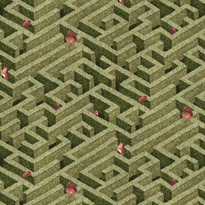 LABYRINTH WITH SQUIRRELS