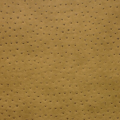 KRAVET DESIGN
