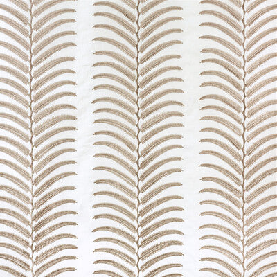 PLANTAE