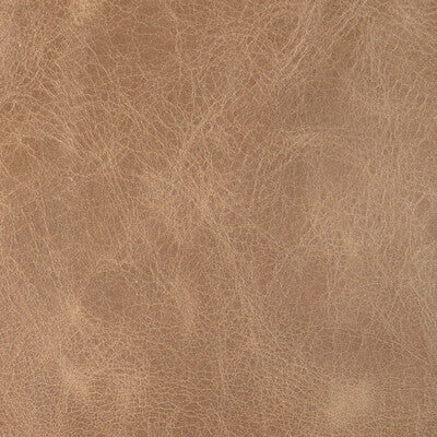 KRAVET DESIGN