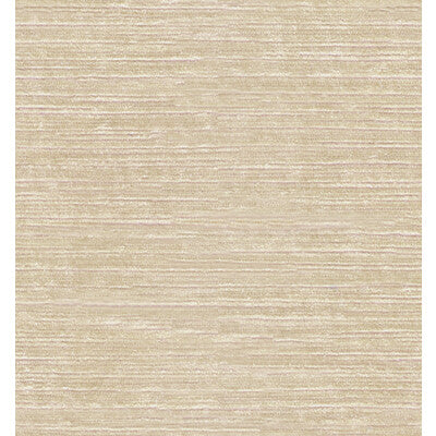 PANNE VELVET