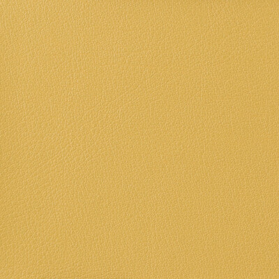 KRAVET BASICS