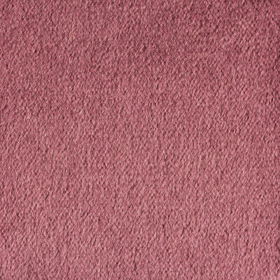 Kravet Couture Plazzo Mohair Texture Fabric – Purple/nan 100% Mohair Luxury Upholstery Fabric (55" Width)