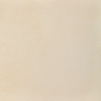 L-GLISTEN-SEASHELL