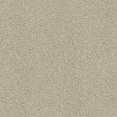 Kravet Design Ultrasuede Green Texture Fabric  Light Grey  Polyester Blend Upholstery Fabric (55” Width)