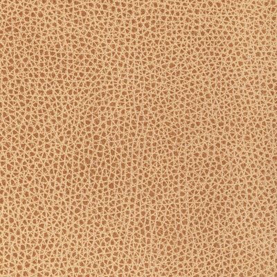 KRAVET DESIGN