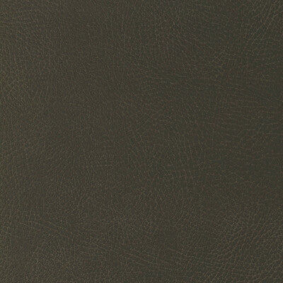 KRAVET DESIGN