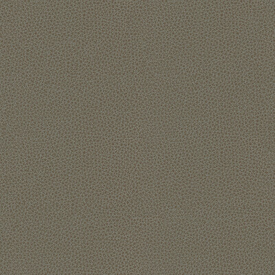 KRAVET DESIGN