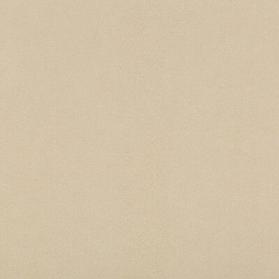 Kravet Design Ultrasuede Green Texture Fabric | Beige Polyester Blend Upholstery Fabric (55” Width)
