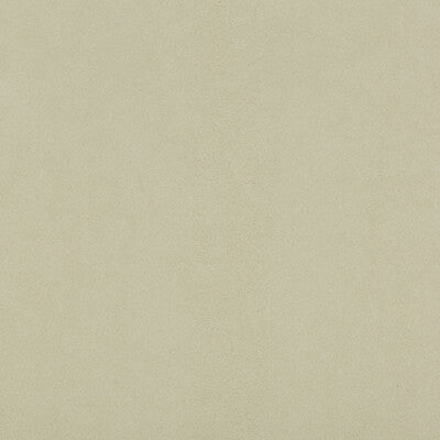 ULTRASUEDE GREEN