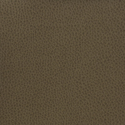 KRAVET BASICS