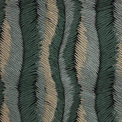 PLUMAGE