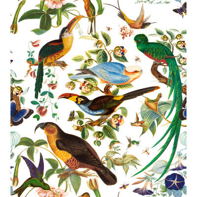 OAXACA