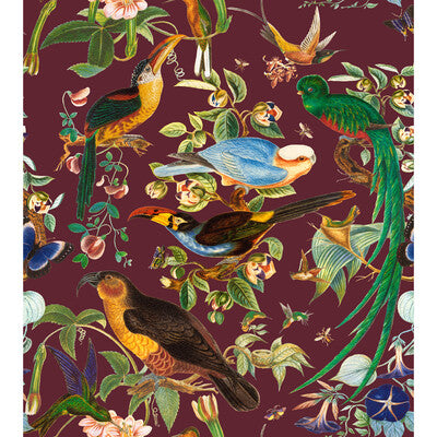 OAXACA