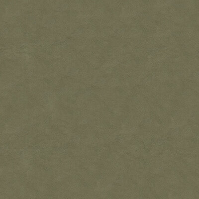 ULTRASUEDE GREEN
