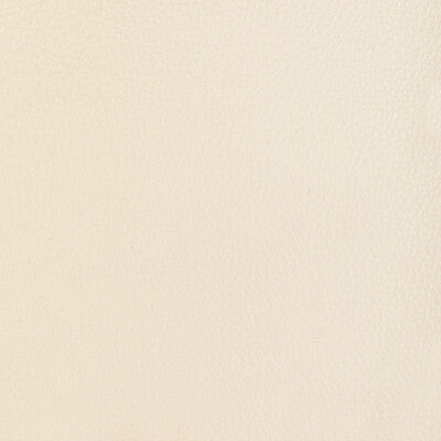 KRAVET DESIGN