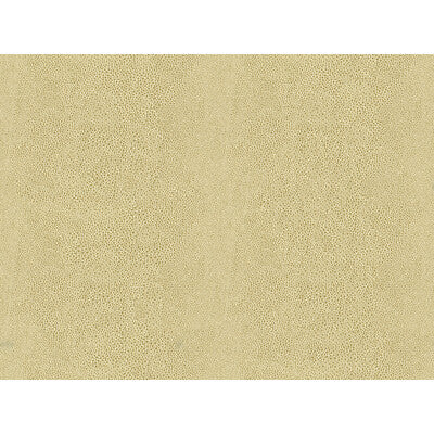 CHIC SHAGREEN