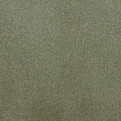 KRAVET DESIGN