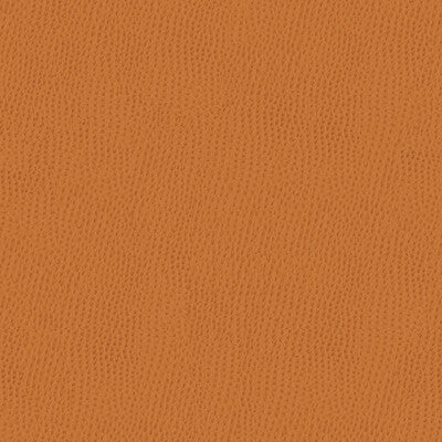 KRAVET SMART