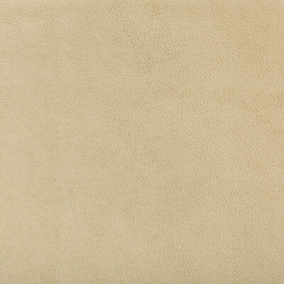 KRAVET DESIGN