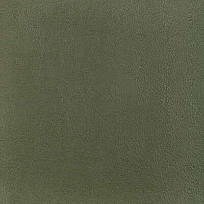 KRAVET DESIGN