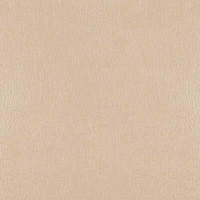 KRAVET DESIGN