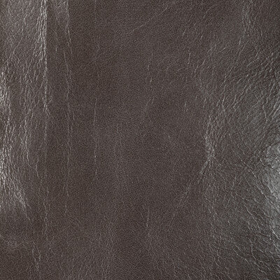 KRAVET DESIGN